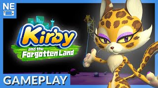 [閒聊] 星之卡比探索發現 繼157後是不獸控制ㄇ…