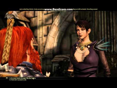 Dragon Age Origins playthrough part 35 - Take my potions!