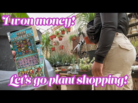 $30 Budget Plant Shopping at Local Plant Nurseries + Big Box Stores | Austin, Texas