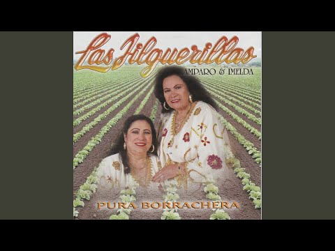 Para Que Me Echaste Al Mundo