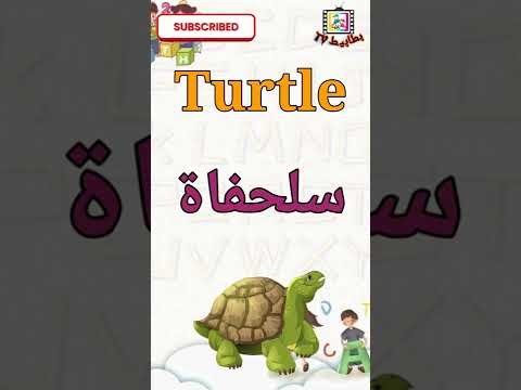كلمات تبدا بحرف T