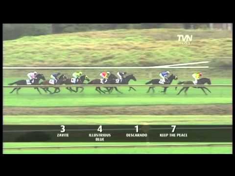 2011 Ranvet Stakes- Zavite