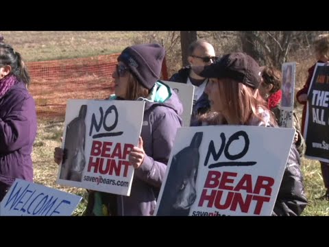 NJ Black Bear Hunt In Sussex County