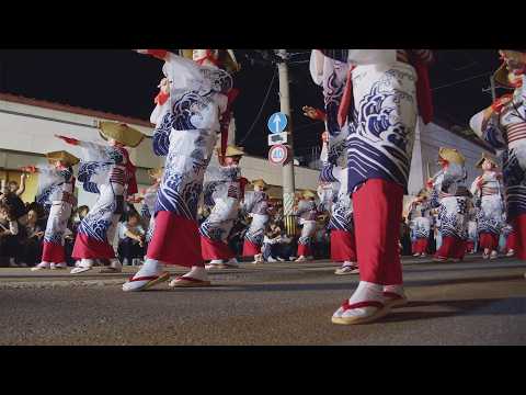 動画で巡る、むつ市の魅力。【おしまこ流し踊り -むつ市-】