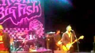 Another Day In Paradise - Reel Big Fish 16/02/08