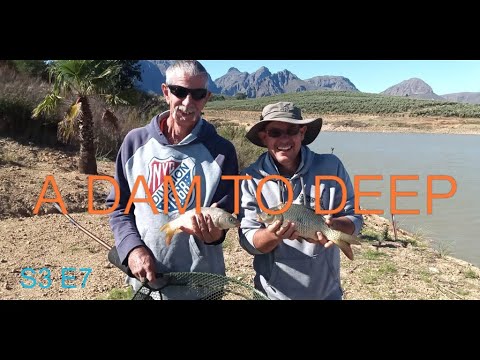 CARP FISHING WITH BAREFOOT ANGLER. A DAM TOO DEEP. S3 E7