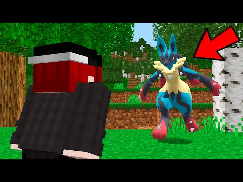 Mega Lucario no Minecraft Pixelmon