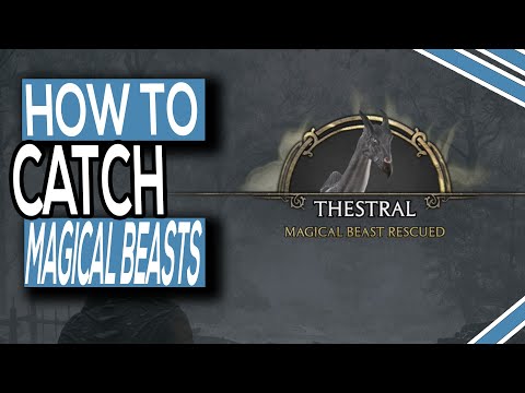 How To Catch Magical Beasts At Dens In Hogwarts Legacy