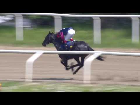 Plantstepsdream 19 Maj 2019 - Jägersro Galopp