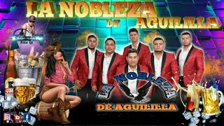 La Nobleza de Aguililla Mix 2020 | Dj Freddy rmx Gt | Tierra Caliente👍🍺