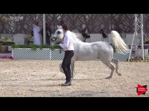 120 ANAS AL KHALEDIAH   Gulf SE Cup 2018