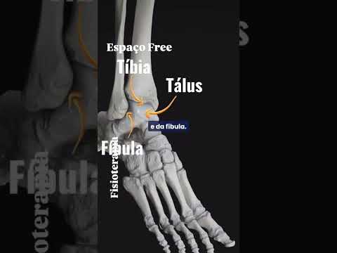 Treinamento Personalizado para Articulação Talocrural em São Manuel