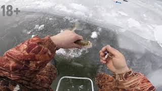 Зимняя рыбалка в камызякском районе