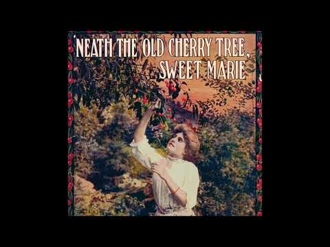 Byron G. Harlan "'Neath the Old Cherry Tree, Sweet Marie" (1907) Edison cylinder, Egbert van Alstyne