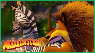 Me Dê Comidaaaaaa! | DreamWorks Madagascar em Português