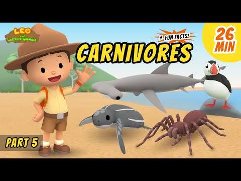 Witness21 Editor  2020 09 24