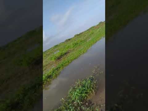 Wiligaa matagtay meel saan u qurux badan ama meel u dhaw