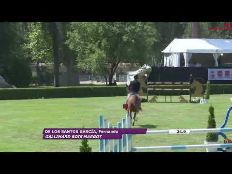 Gallimard bois margot (Quaprice Bois Margot x L’arc de triomphe x Galoubet A)