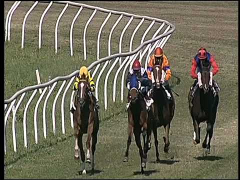 Galoppo 19/06/2015 - 2° corsa