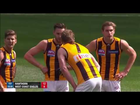 AFL 2015 Grand Final: Hawthorn Hawks vs West Coast Eagles 03.10.2015