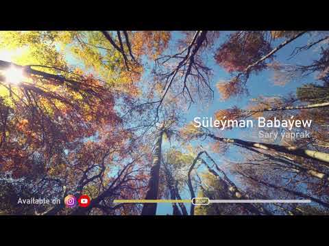 Suleyman Babayew - Sary yaprak | 2021 (Gitara aydymy)