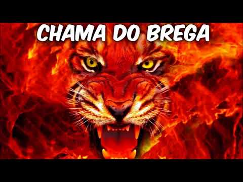 Chama do Brega - Anjo Bom