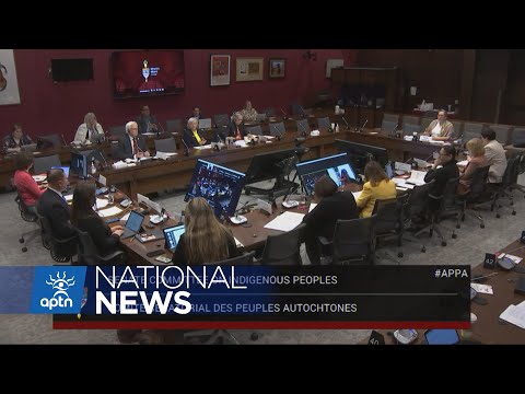 Senate committee studies Bill C-29 proposing a national council on reconciliation | APTN News