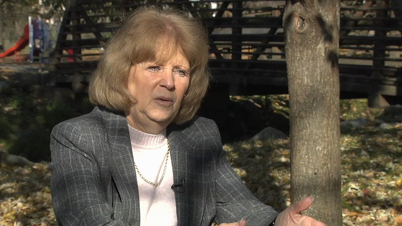 Whitehall treasurer charged with harassment, official oppression