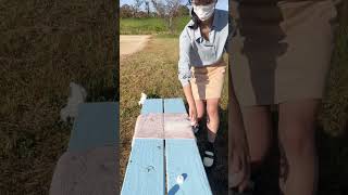 出来た #shorts #tiktok #shortsfeed #youtubeshorts #short