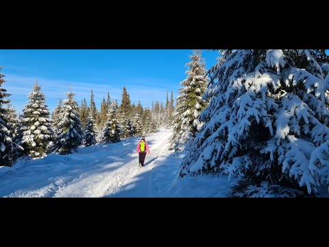 Ep.30⛰️Muntele Mare -  Stațiunea Muntele Băișorii