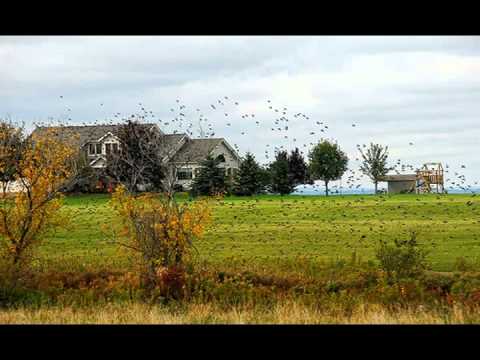 Vytautas Domeika as cia gyvenu