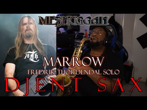 [ALTO SAX TRANSCRIPTION] Fredrik Thordendal's 2nd Solo on "Marrow" by Meshuggah