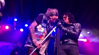 Jack Russell’s Great White