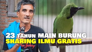 Download lagu 23 tahun MAIN BURUNG !! BAPAK INI SHARING ILMU CUCAK IJO GRATIS mp3