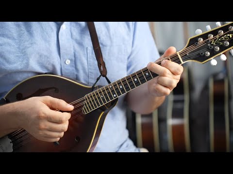 Swallowtail Jig: Chords & Strum Pattern (3 Voicings) - Mandolin Lesson
