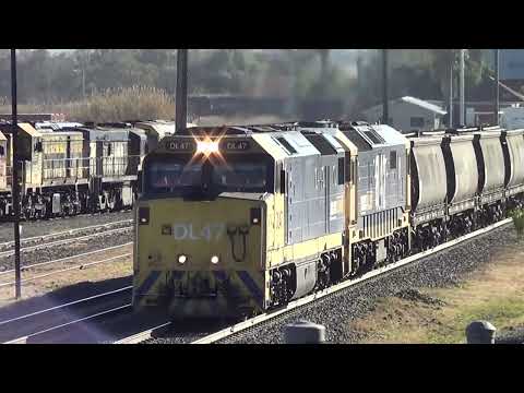 DL47+8142=Werris Creek