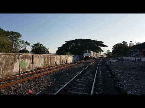 CC 206 13 87 JNG ft KA 212 Maharani