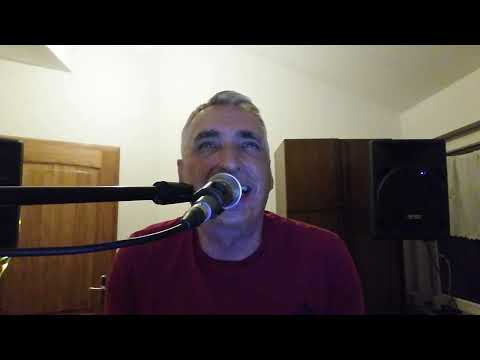 Jovan Momčilović - Prokleta bila (live)