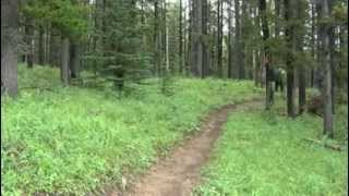 preview picture of video 'Hiking in Bragg Creek: Trailhead Community'