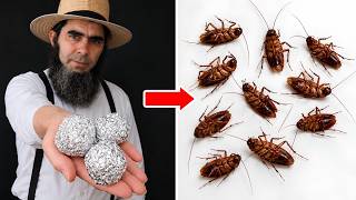 Kill Cockroaches Fast with Aluminum Foil – Simple &amp; Effective!