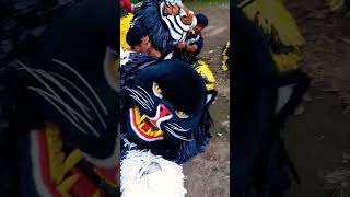 Download lagu Can Macanan #canmacanan #canmacanansingomanggala #liondance #drumbandmacan mp3