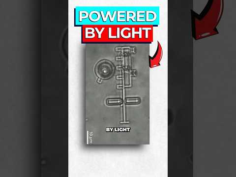 Scientists Create Micro Machines Powered by Light