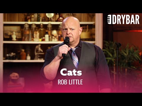 Play Video Youtube Video