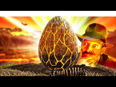 We Unlocked the Secret to Getting Wyvern Eggs (DOX Ep6)