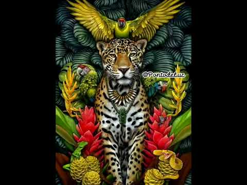 Caboclos da Onça - Tainá Santos