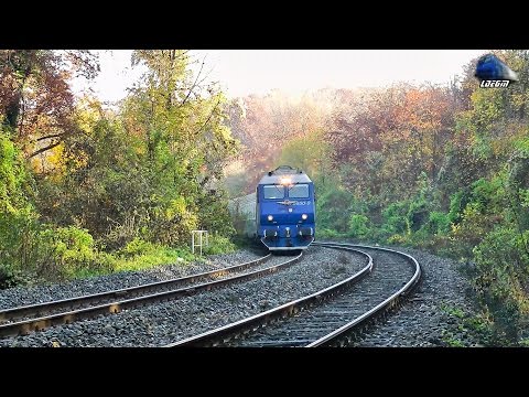 Trenurile Toamnei in Muntii Apuseni Jebuc-Stana Autumn Trains in Apuseni Mountains 15 November 2014