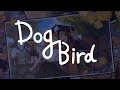 DogBird - Madds Buckley