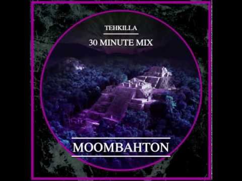 30 minute Moombahton Mix