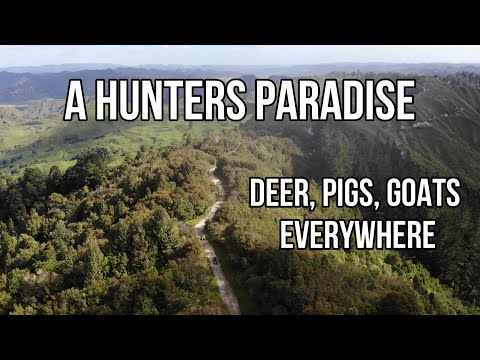 A hunters Paradise. oneleaf.ai Commander NV100 Night Vision Giveaway And Review.