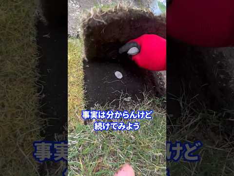 肥料顆粒には厚い緑の芝生がある良いジェスチャープロの庭師